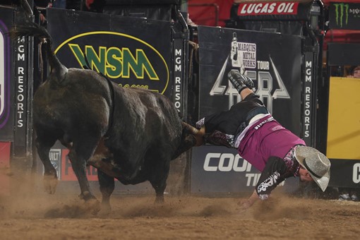 Professional Bull Riders